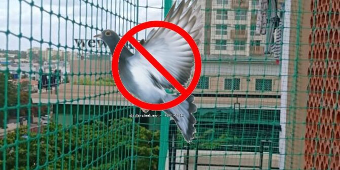 Pigeon Nets Installation for Balconies | Call 8884844000 for Pigeon Free Solution and Get Quality Servcies.